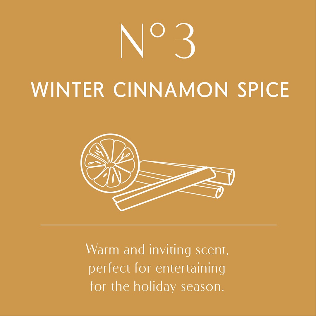 Aura Oil No.3 - Winter Cinnamon Spice