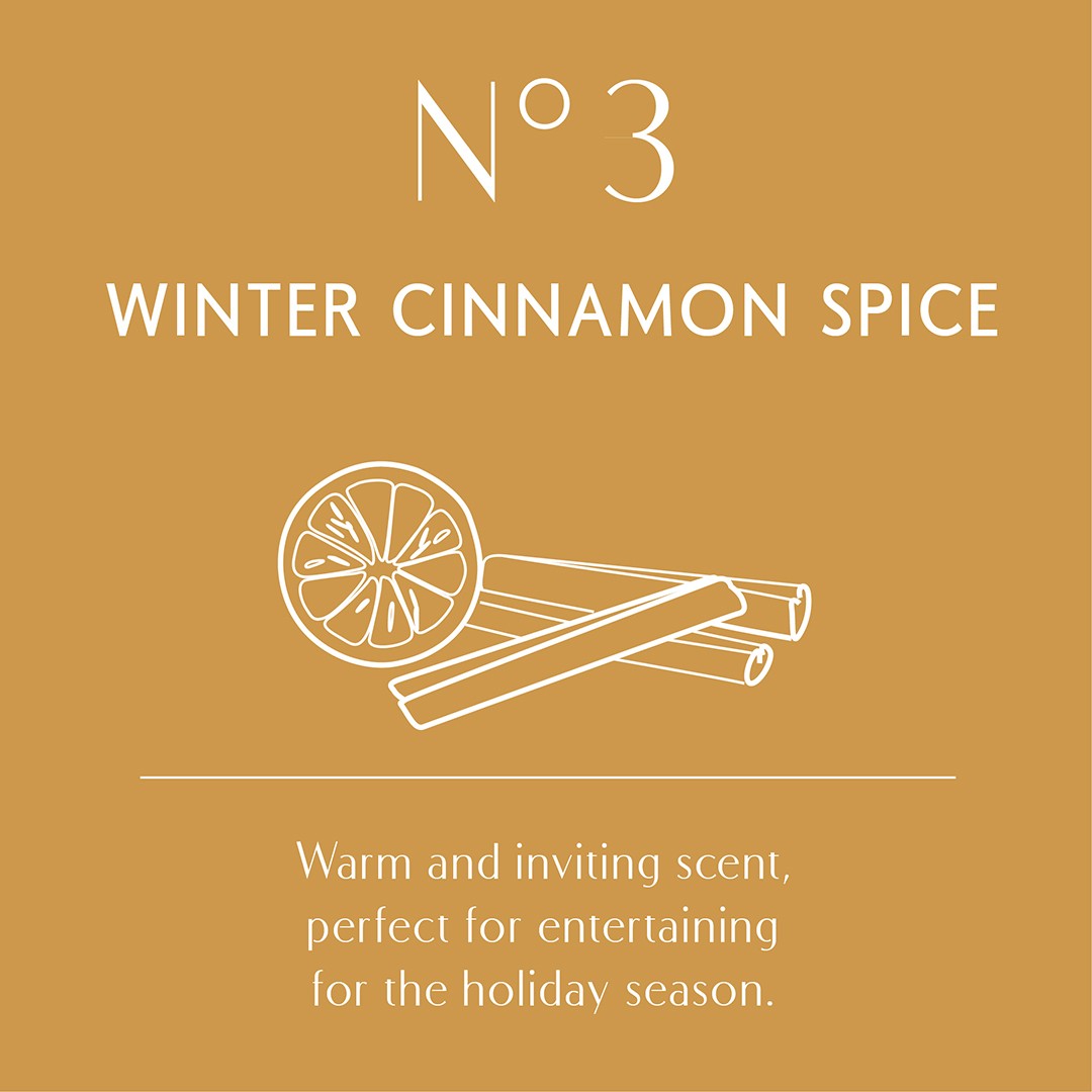 Aura Oil No.3 Fragrance Winter Cinnamon Spice