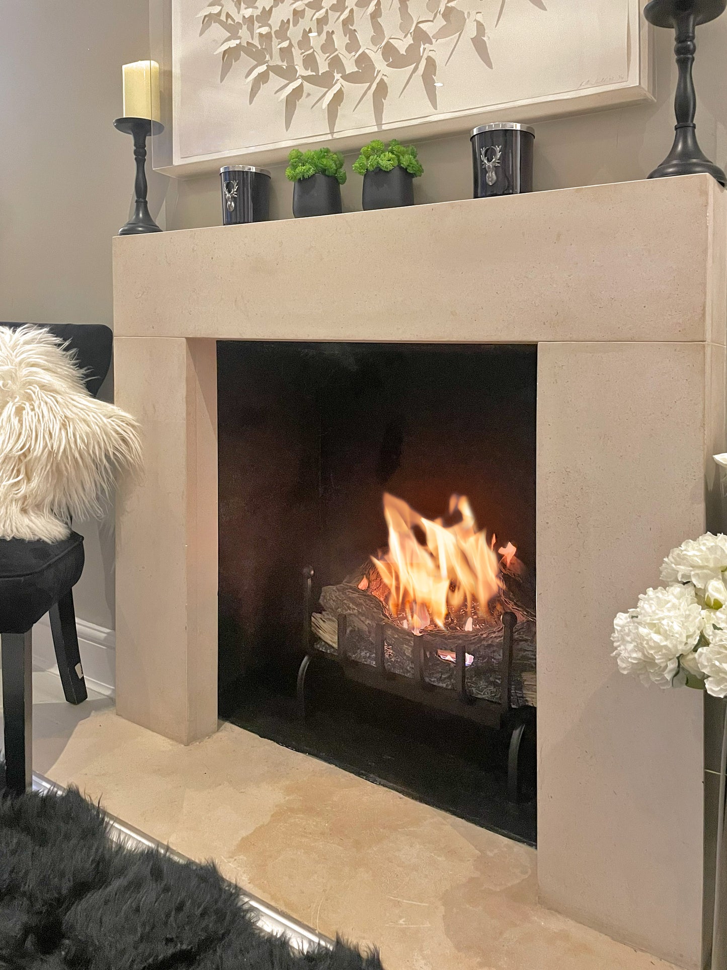 ASPEN Bioethanol Grate